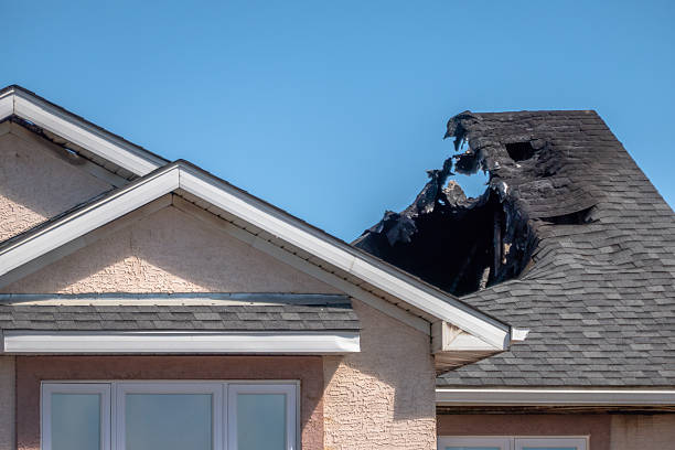 Top rated local Fire Damage Removal specialists in Davidsonville, MD